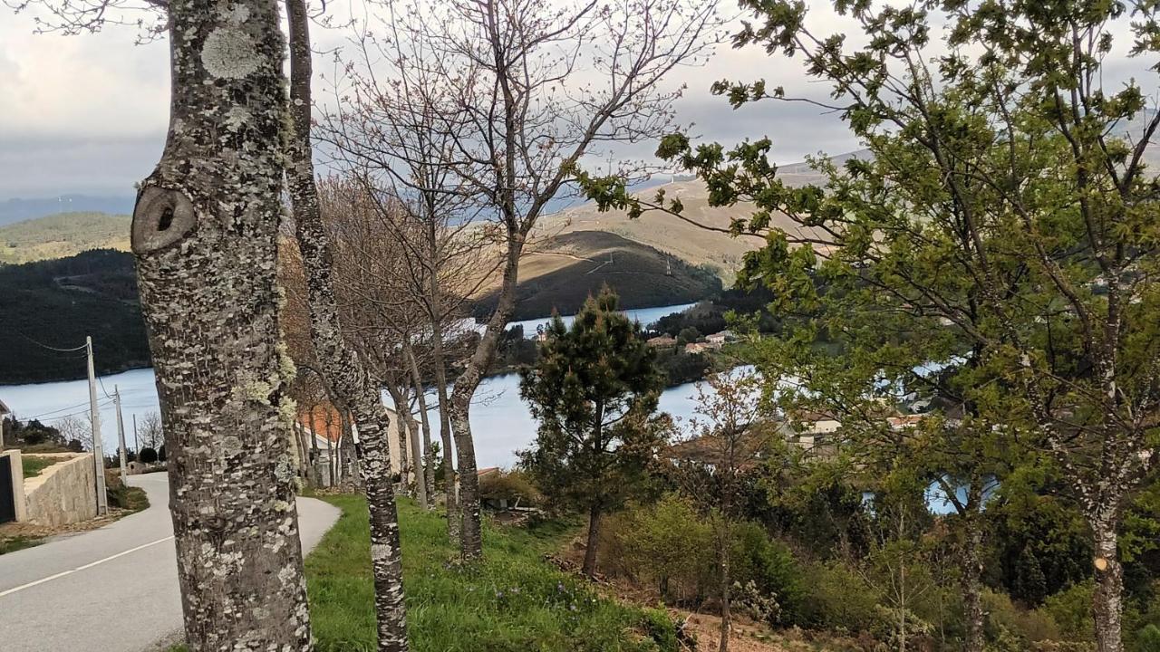 Ruivaes Geres Do Alibaba 빌라 외부 사진